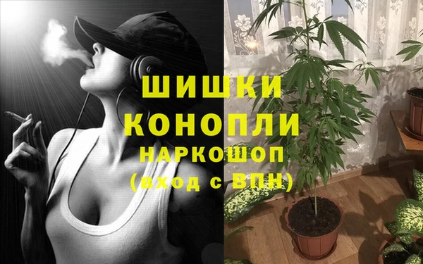 прущая мука Покачи