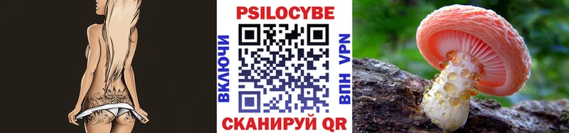 Купить где  Трубчевск  Галлюциногенные грибы прущие грибы 